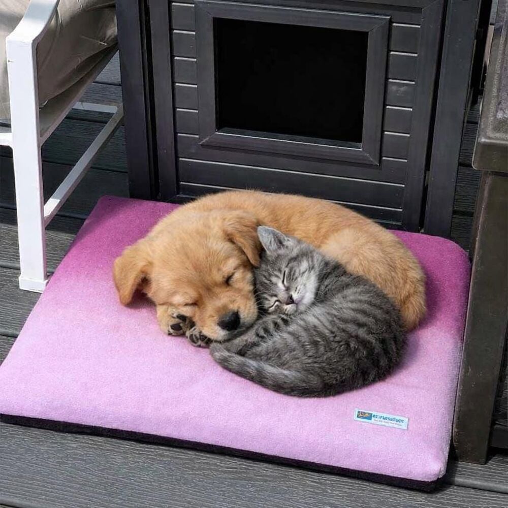 Double Sided Pad Pet Bed - 20 x 22 - Ombre Magenta Fleece NEW